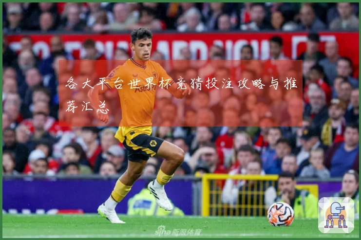 各大平台世界杯竞猜投注攻略与推荐汇总