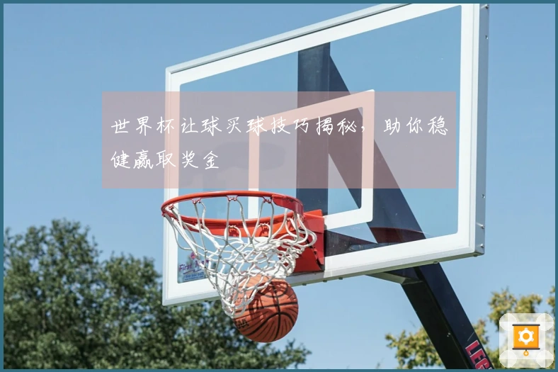 世界杯让球买球技巧揭秘，助你稳健赢取奖金
