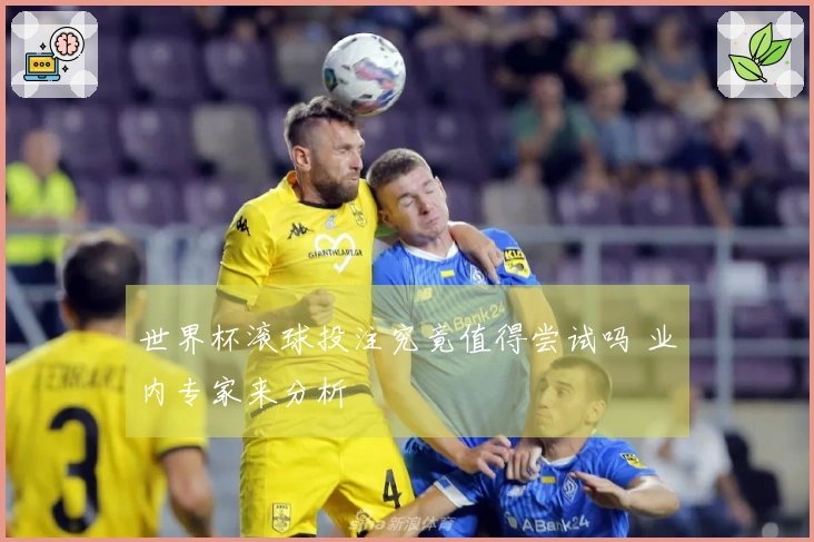 世界杯滚球投注究竟值得尝试吗 业内专家来分析