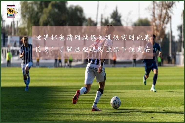 世界杯竞猜网站能否提供实时比赛信息？了解这些规则让你下注更安心